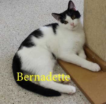 Bernadette2 resize