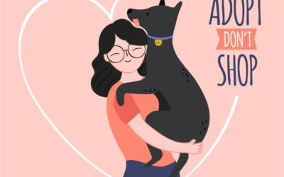 6 Reasons You Should Adopt a Dog Rather Than Buy It