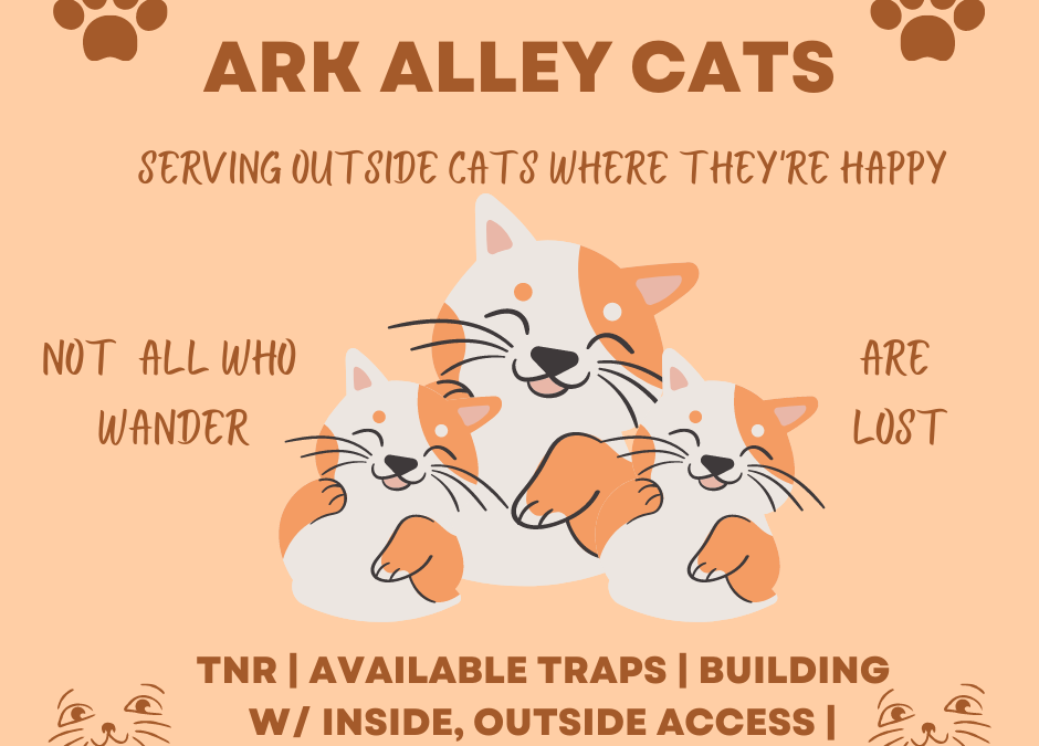 Ark Alley Cats Program