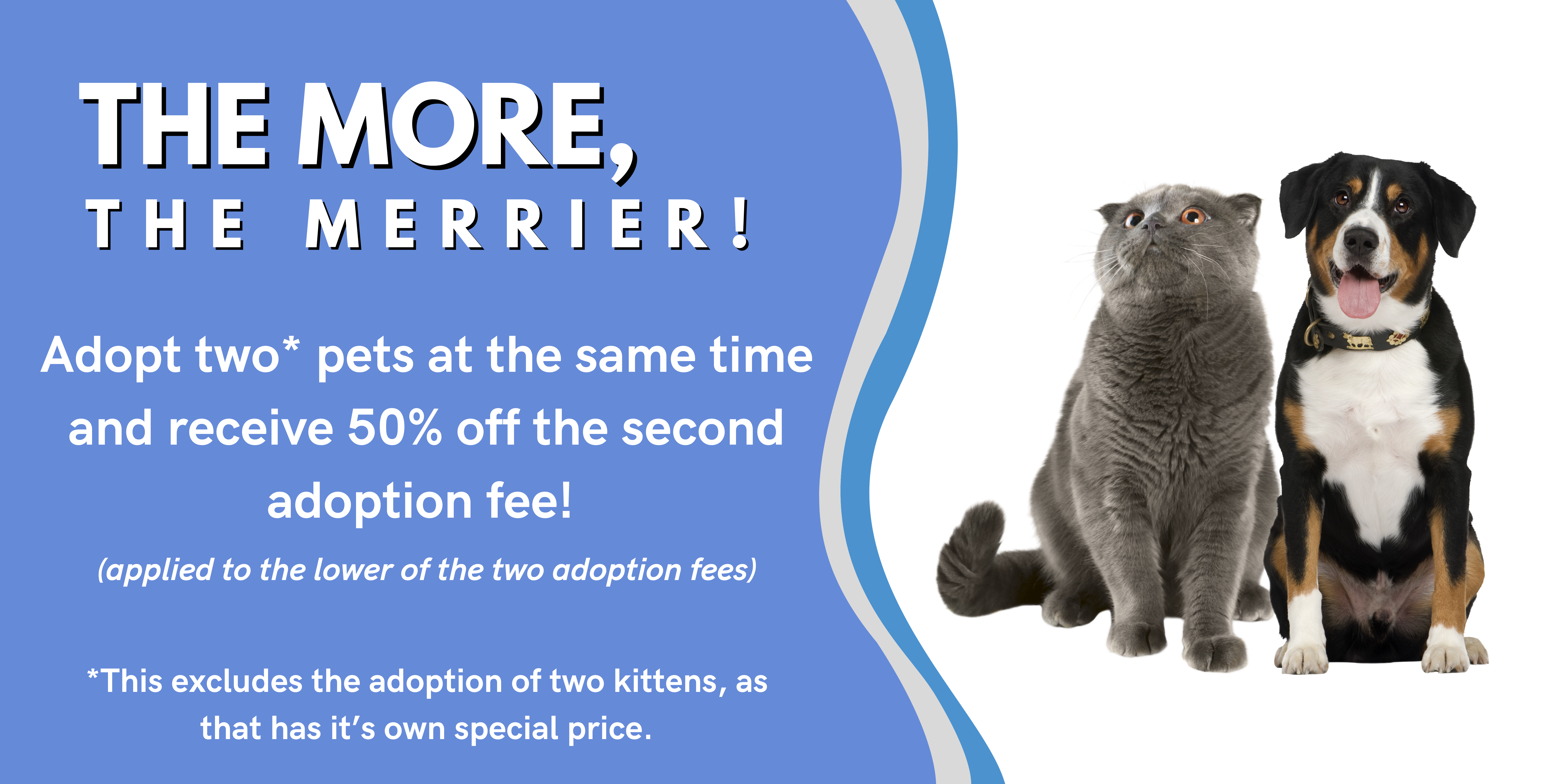 A promotional graphic featuring white text on a blue background that reads, "Adopt two pets at the same time and receive 50% off the second adoption fee (applied to the lower of the two adoption fees). This excludes the adoption of two kittens, as that has its own special price." To the right, a grey cat and a black and tan dog sit side by side, looking friendly.