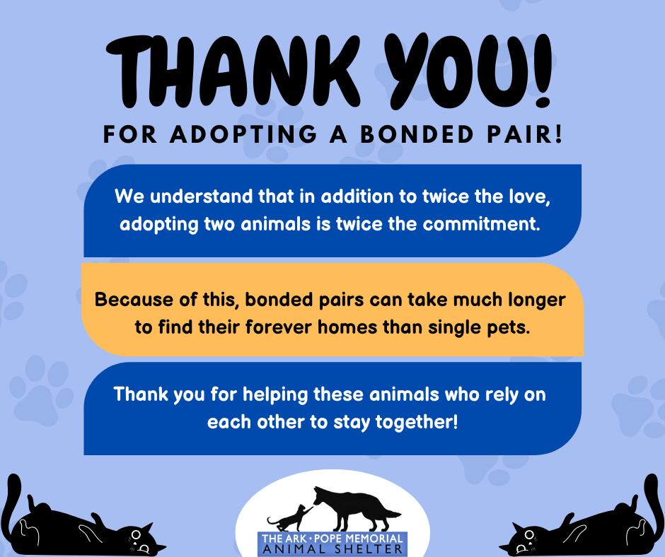 A digital flyer with a light blue background features the message "THANK YOU! For adopting a bonded pair!" Beneath this, three text sections read: "We understand that in addition to twice the love, adopting two animals is twice the commitment," "Because of this, bonded pairs can take much longer to find their forever homes than single pets," and "Thank you for helping these animals who rely on each other to stay together!" The Ark • Pope Memorial Animal Shelter's logo is at the bottom, featuring a silhouette of a dog and cat. Illustrations of lounging cats decorate the corners.