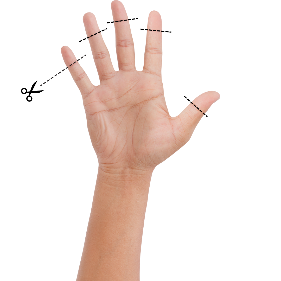 A diagram of a human hand with dotted lines and scissors showing where declawing is equivalent to amputating a cat's digits, visually explaining the procedure's severity.