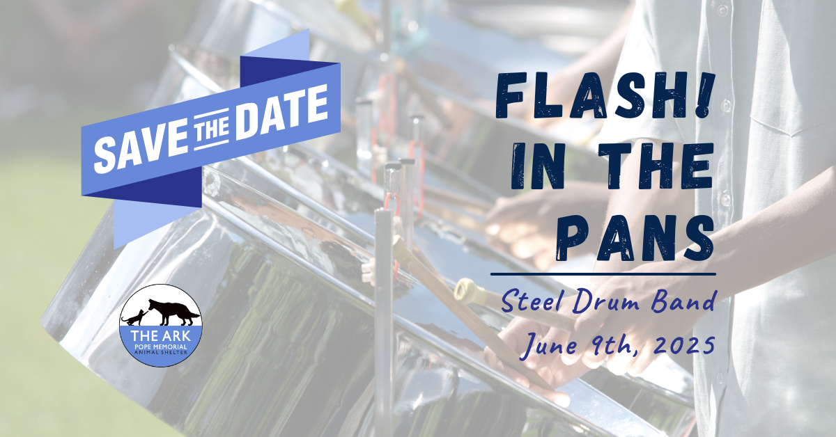 A "Save the Date" promotional graphic for the FLASH! in the Pans benefit concert supporting The Ark Pope Memorial Animal Shelter on June 9, 2025. The image shows a close-up of steel drums being played, with event details, the shelter’s logo, and a blue banner announcing the date.