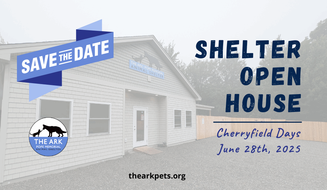 Mark Your Calendars: Two Exciting Events at The Ark!