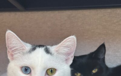 Penelope and Annie
