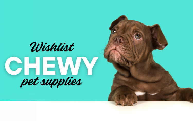 Brown puppy leaning on a white surface with a turquoise background, next to the text 'Wishlist Chewy pet supplies'.