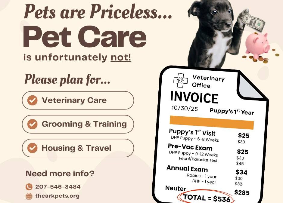 What Every Pet Owner Should Know About Vet Care and Parvo