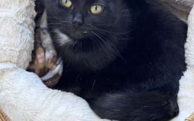 Matilda