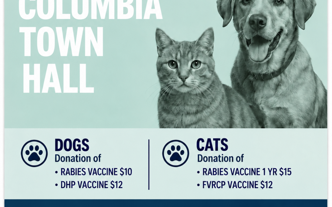 The Ark Pope Memorial: Vaccine Clinic!
